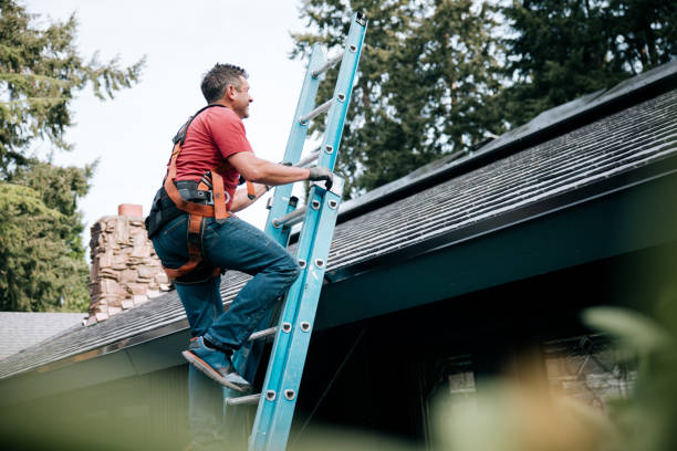 Best Sheet Metal Roofing  in Baxley, GA